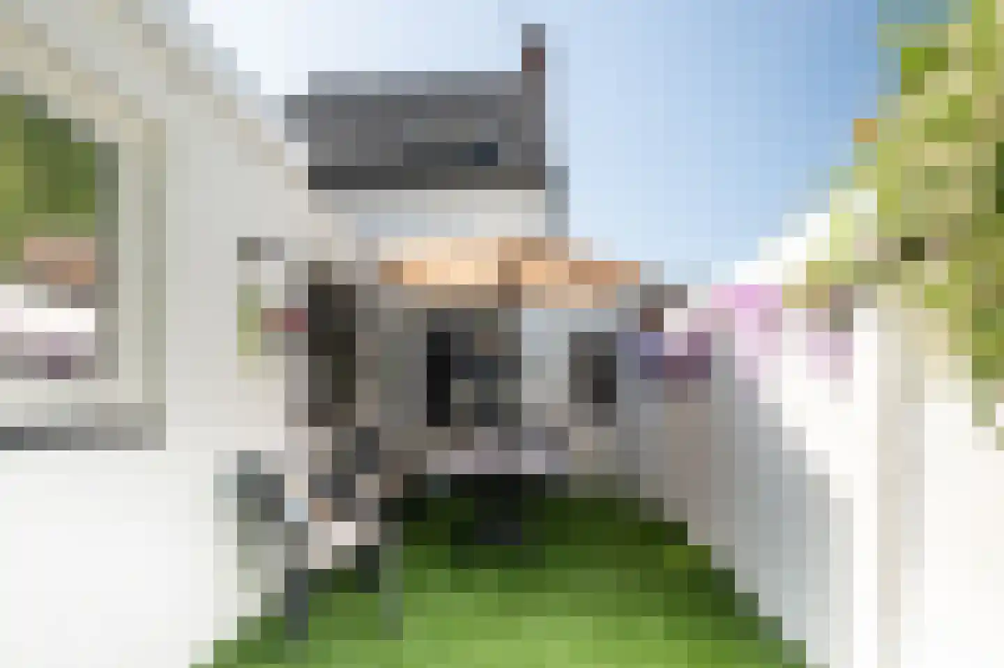 Graaf Moretuslaan 2 Putte foto 3