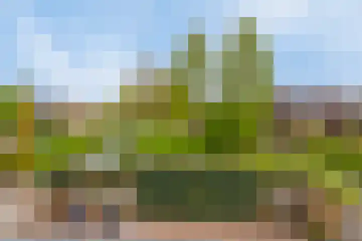 Graaf Ottolaan 1 Nieuwegein thumbnail 10