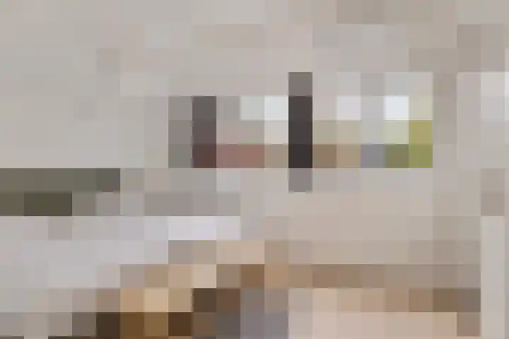 Graaf Ottolaan 1 Nieuwegein thumbnail 14