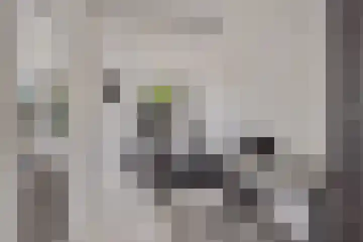 Graaf Ottolaan 1 Nieuwegein thumbnail 20