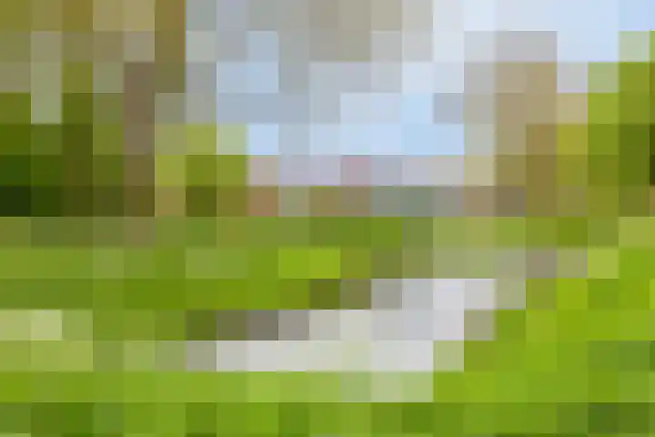 Graaf Ottolaan 1 Nieuwegein thumbnail 22