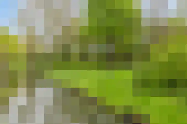 Graaf Ottolaan 1 Nieuwegein thumbnail 25