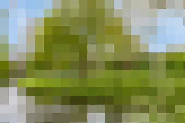 Graaf Ottolaan 1 Nieuwegein thumbnail 26