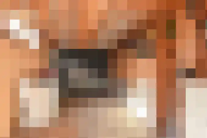 Graaf Ottolaan 16 Leidschendam thumbnail 27