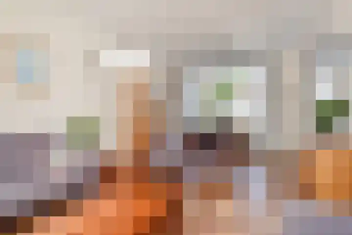 Graaf Ottolaan 16 Leidschendam thumbnail 6
