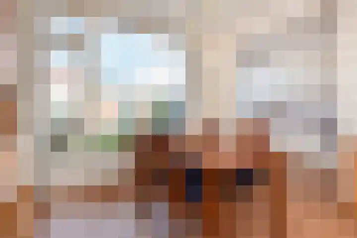 Graaf Ottolaan 16 Leidschendam thumbnail 8
