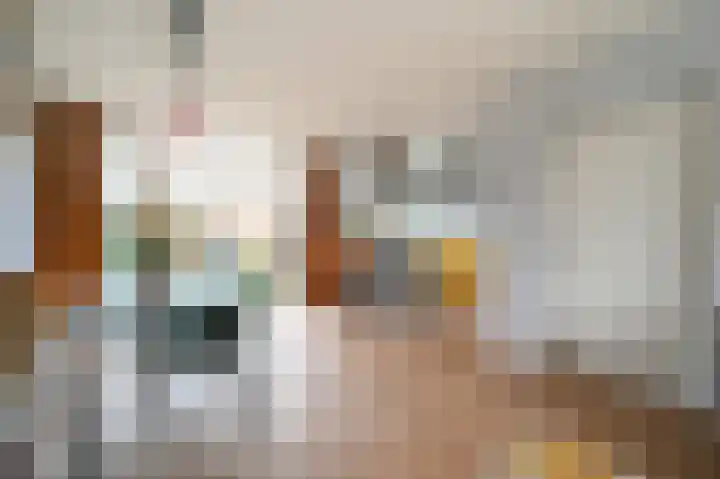 Graaf Ottolaan 18 Leidschendam thumbnail 14
