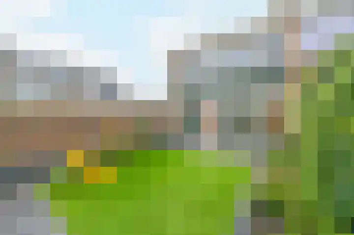 Graaf Ottolaan 18 Leidschendam thumbnail 23