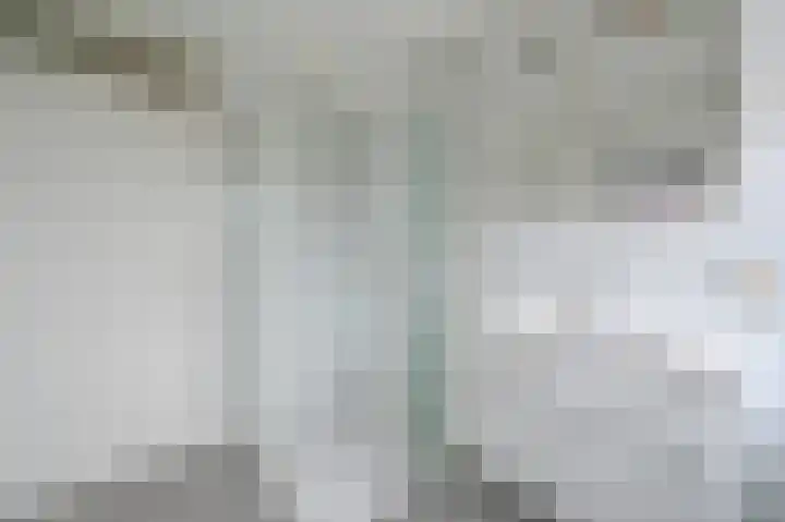 Graaf Ottolaan 18 Leidschendam thumbnail 30