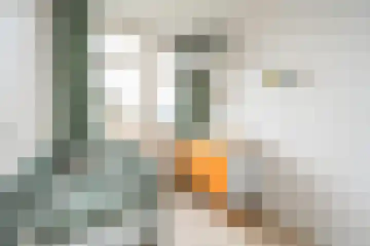 Graaf Ottolaan 18 Leidschendam thumbnail 32