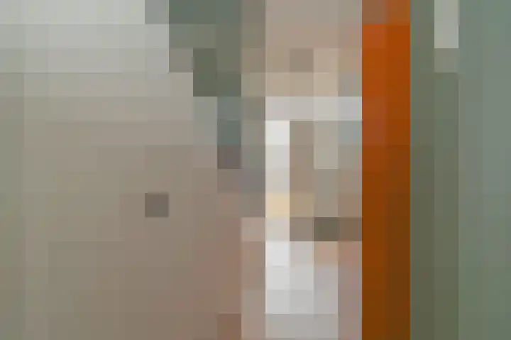 Graaf Ottolaan 18 Leidschendam thumbnail 8