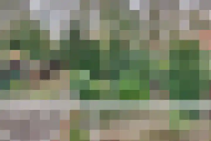 Graaf Ottolaan 35 Harderwijk thumbnail 35