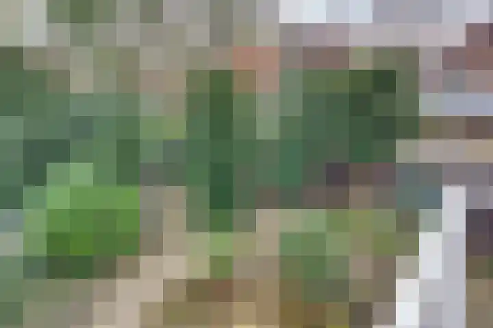 Graaf Ottolaan 35 Harderwijk thumbnail 36
