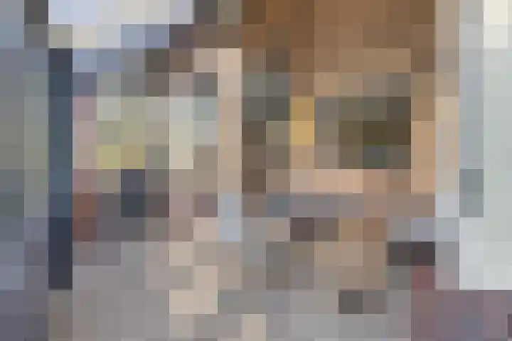 Graaf Ottolaan 35 Harderwijk thumbnail 41