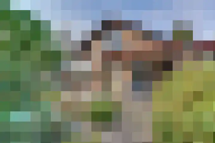 Graaf Ottolaan 35 Harderwijk thumbnail 42