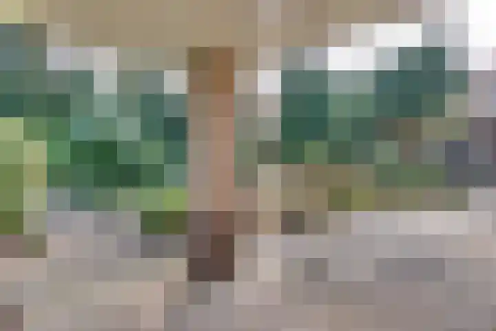 Graaf Ottolaan 35 Harderwijk thumbnail 44
