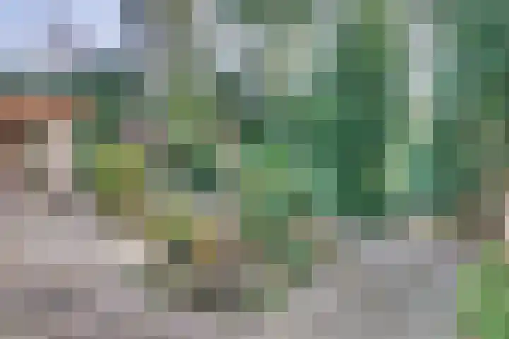 Graaf Ottolaan 35 Harderwijk thumbnail 45