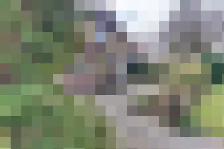 Graaf Ottolaan 35 Harderwijk thumbnail 51