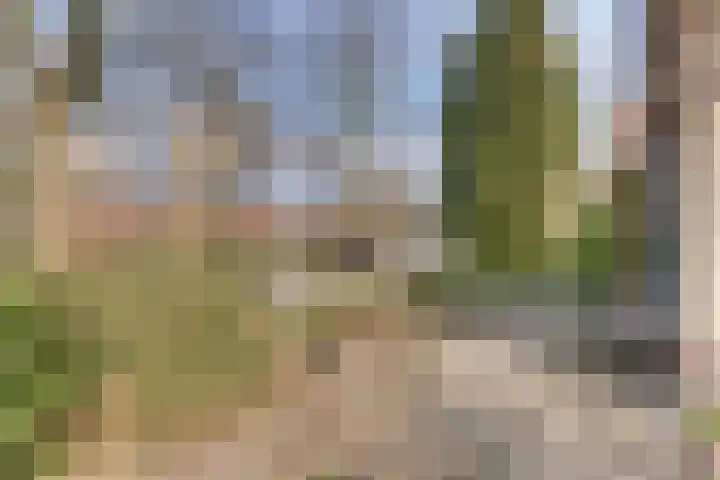 Graaf Ottolaan 35 Harderwijk thumbnail 56