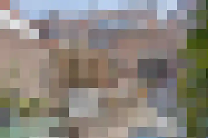 Graaf Ottosingel 189 Zutphen thumbnail 24