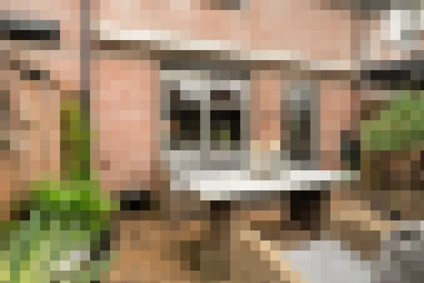 Graaf Ottostraat 14 Elburg thumbnail 33