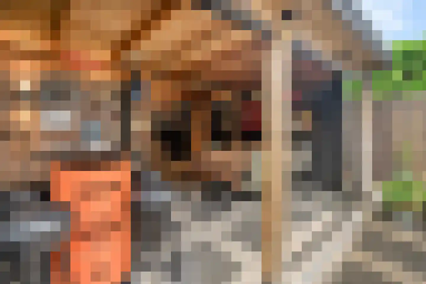 Graaf Ottostraat 14 Elburg thumbnail 35
