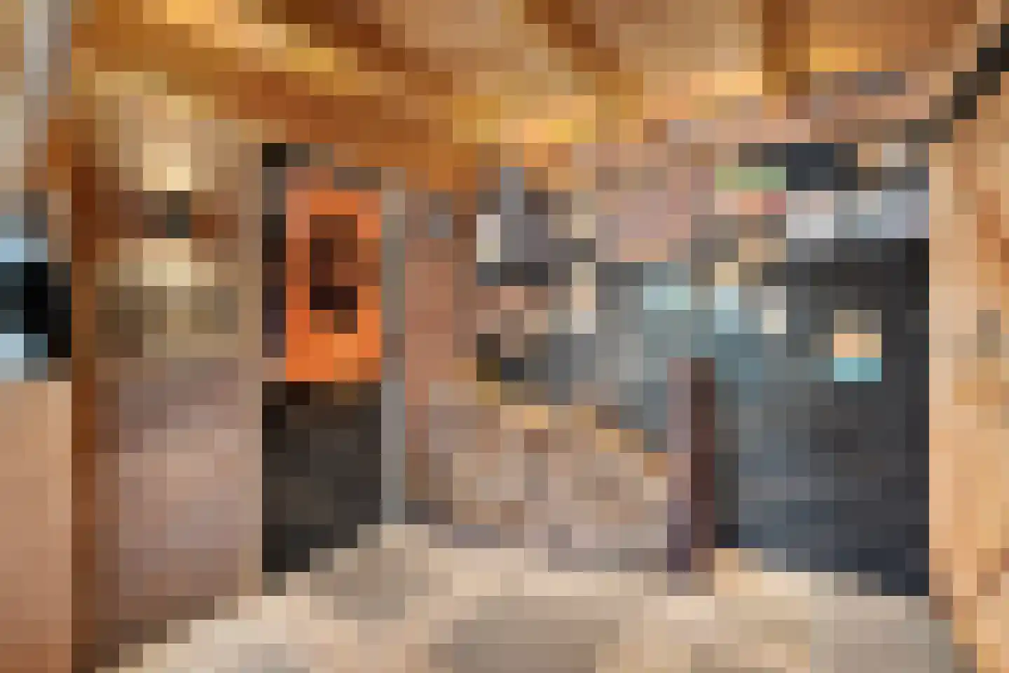 Graaf Ottostraat 14 Elburg thumbnail 36