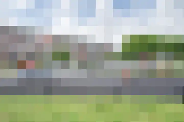 Graaf Ottostraat 22 Zaltbommel thumbnail 8