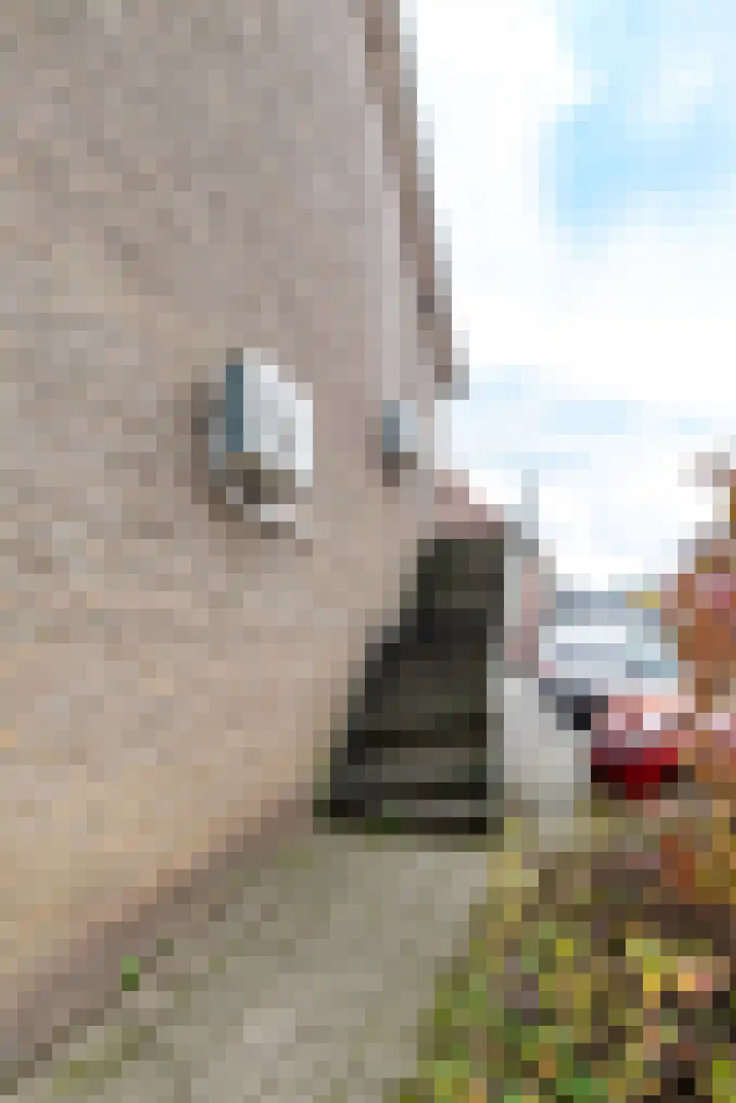 Graaf Ottostraat 52 A Rijssen thumbnail 4