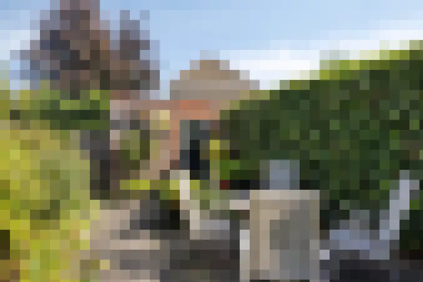 Graaf Ottostraat 52 Zaltbommel thumbnail 27