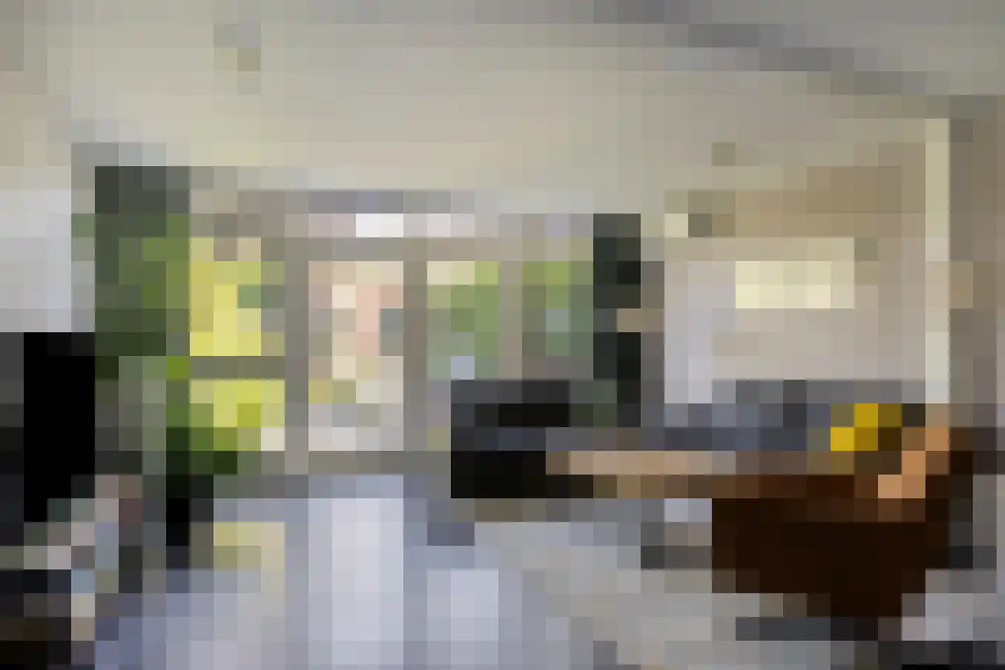 Graaf Ottostraat 52 Zaltbommel thumbnail 4