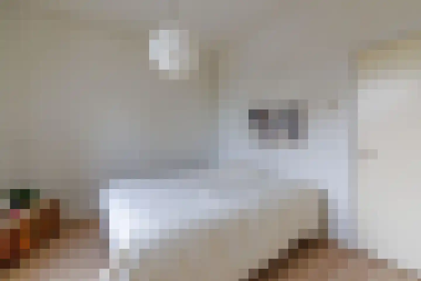 Graaf Ottostraat 74 Rijssen thumbnail 55