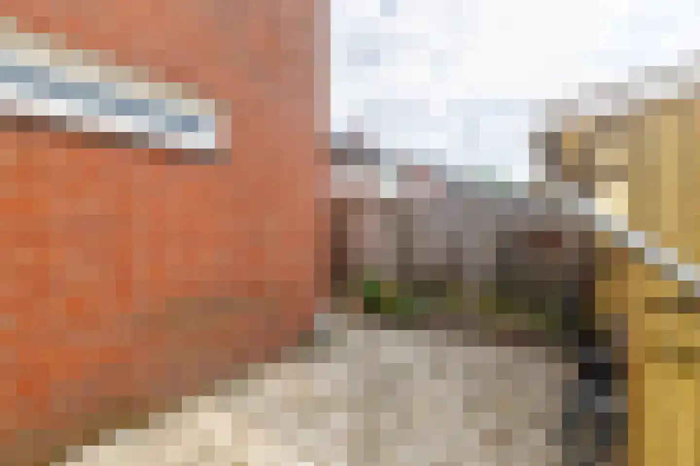 Graaf Ottostraat 74 Rijssen thumbnail 64