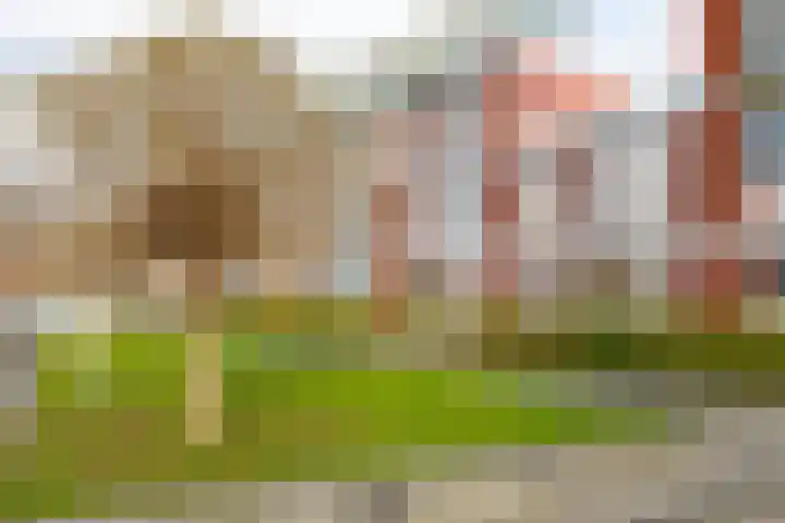 Graaf Ottostraat 78 Zaltbommel thumbnail 51