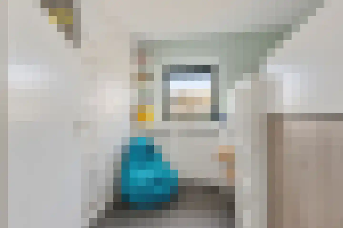 Graaf Ottoweg 24 Lobith thumbnail 20