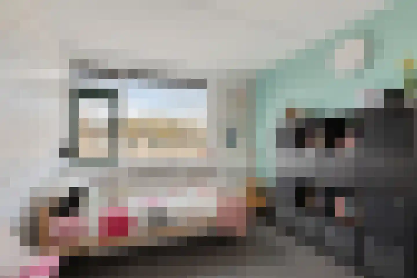 Graaf Ottoweg 24 Lobith thumbnail 24