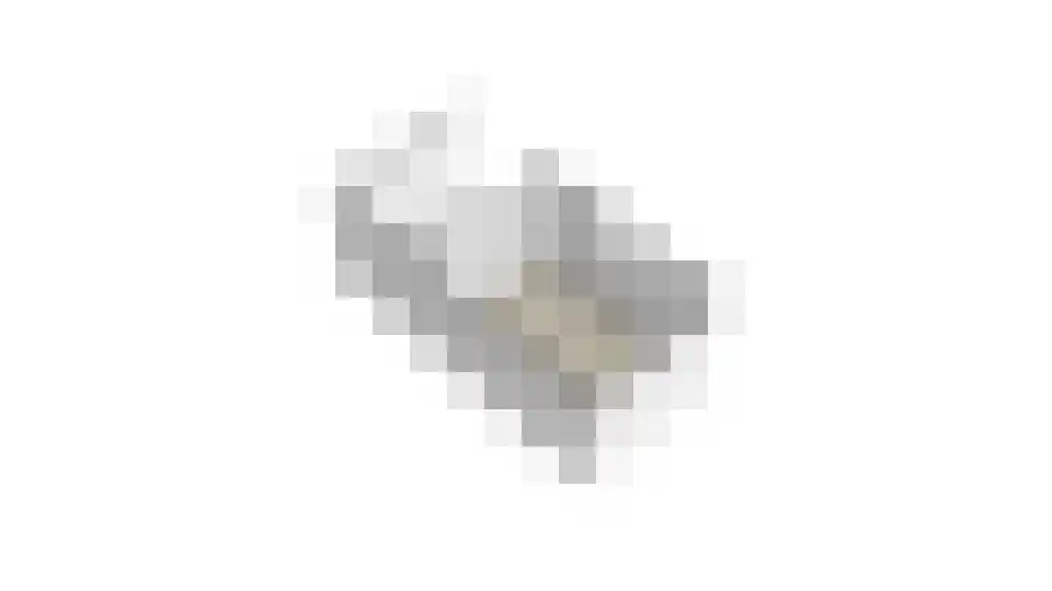 Graaf Ottoweg 24 Lobith thumbnail 40