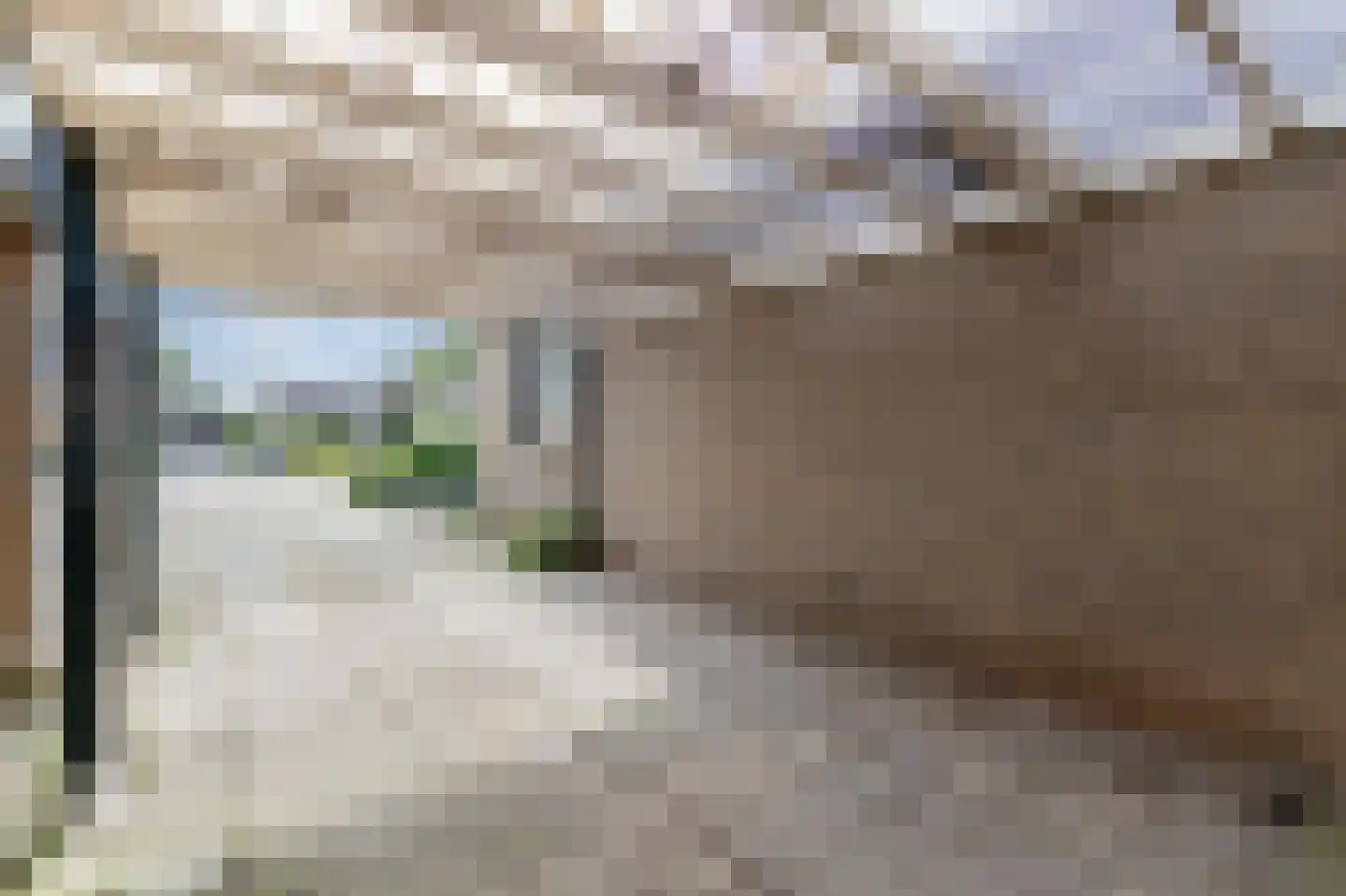 Graaf Ottoweg 58 Lobith thumbnail 11
