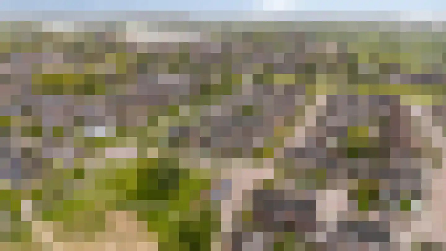 Graaf Ottoweg 68 Lobith thumbnail 47