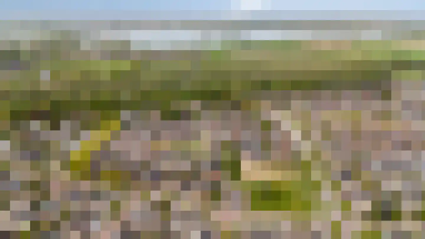 Graaf Ottoweg 68 Lobith thumbnail 48