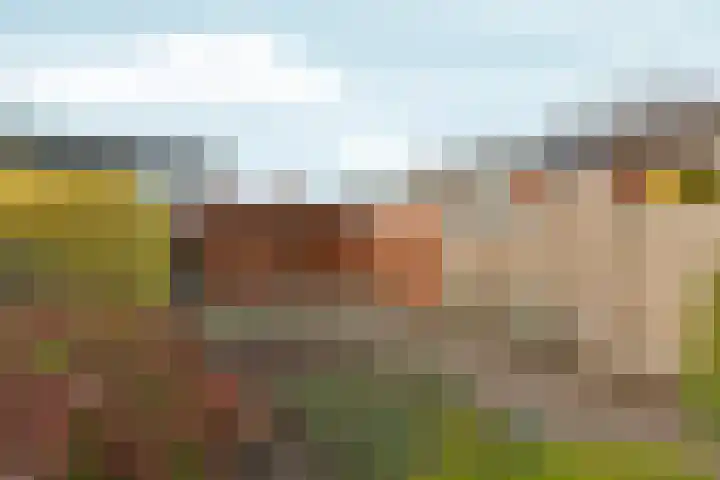 Graaf Ottoweg 72 Lobith thumbnail 36