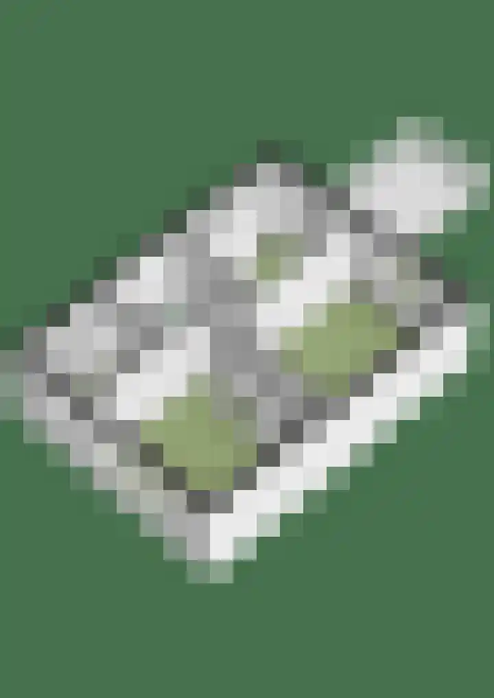 Graaf Ottoweg 72 Lobith thumbnail 44
