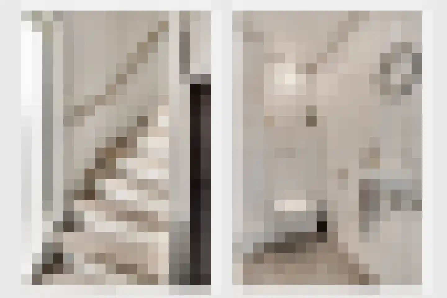 Graaf Philipsstraat 14 Horn thumbnail 11