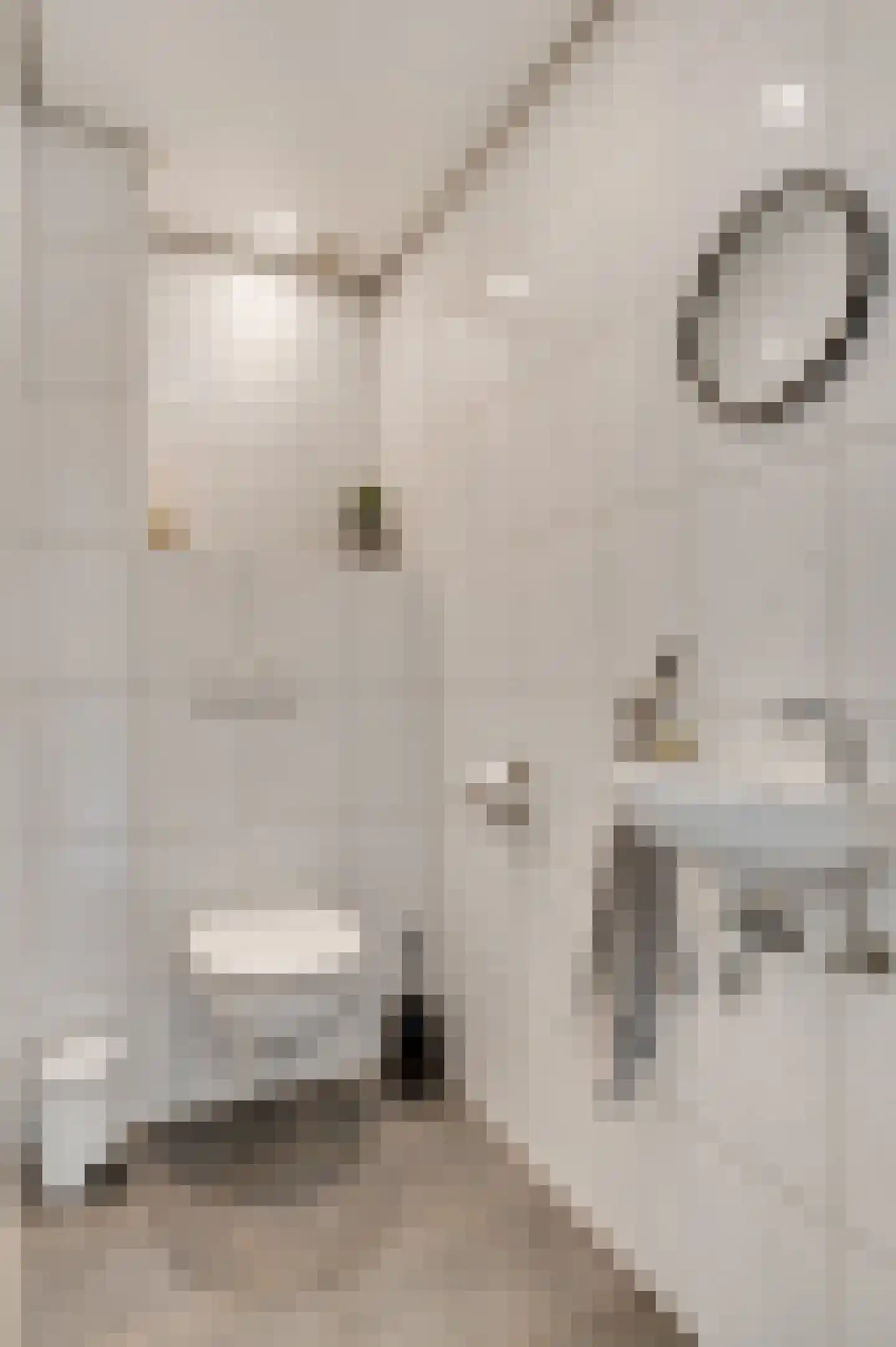 Graaf Philipsstraat 14 Horn thumbnail 12