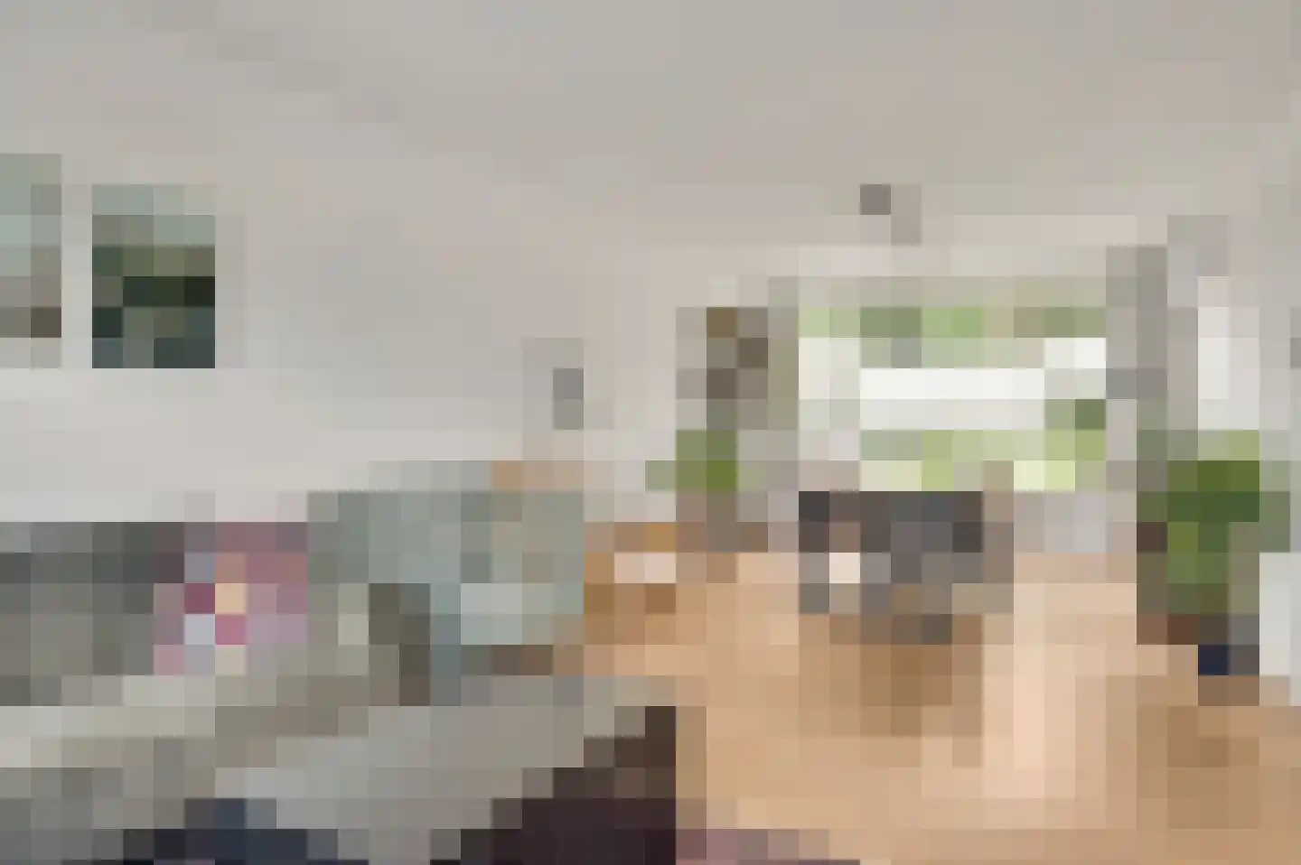 Graaf Philipsstraat 14 Horn thumbnail 4