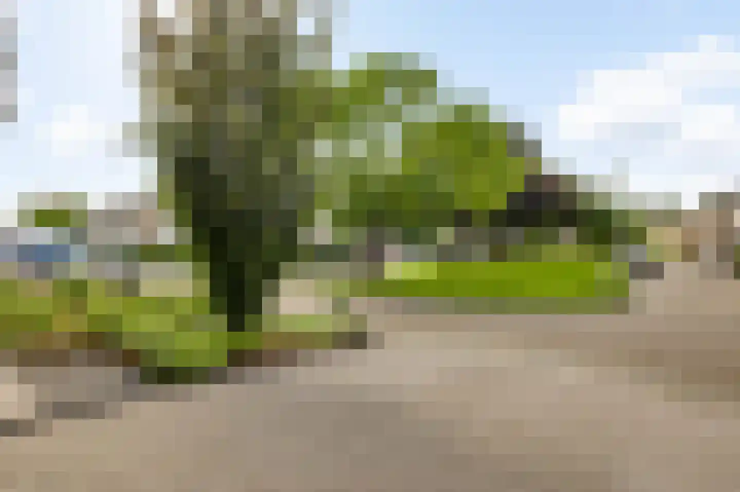Graaf Philipsstraat 14 Horn thumbnail 40