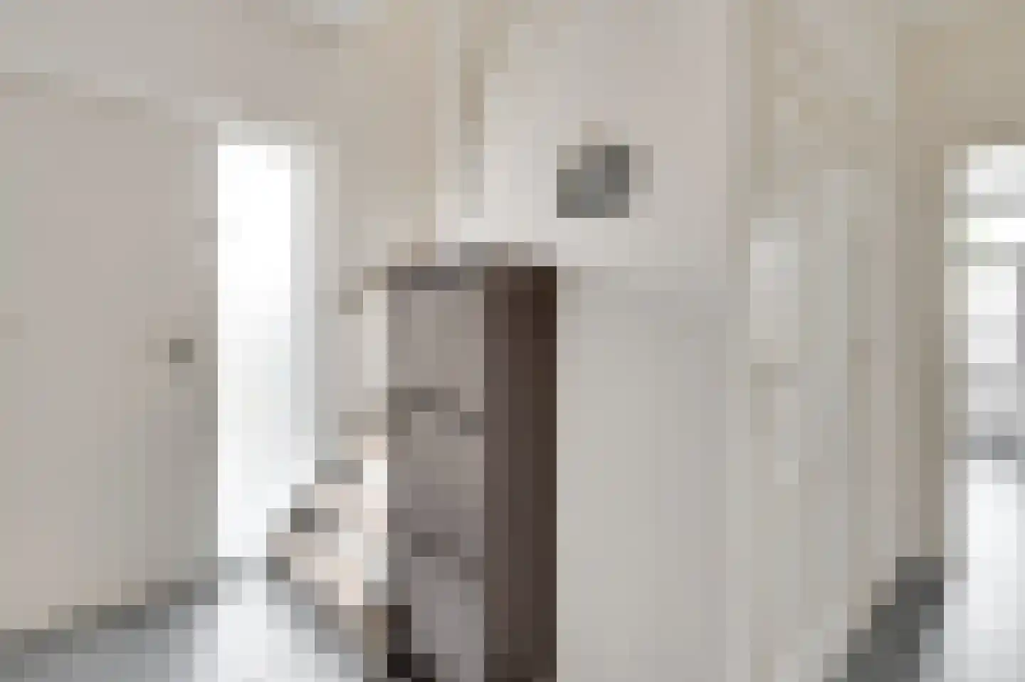Graaf Philipsstraat 14 Horn thumbnail 7