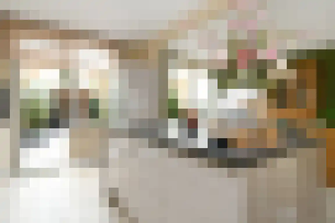 Graaf Philipsstraat 5 Horn thumbnail 11