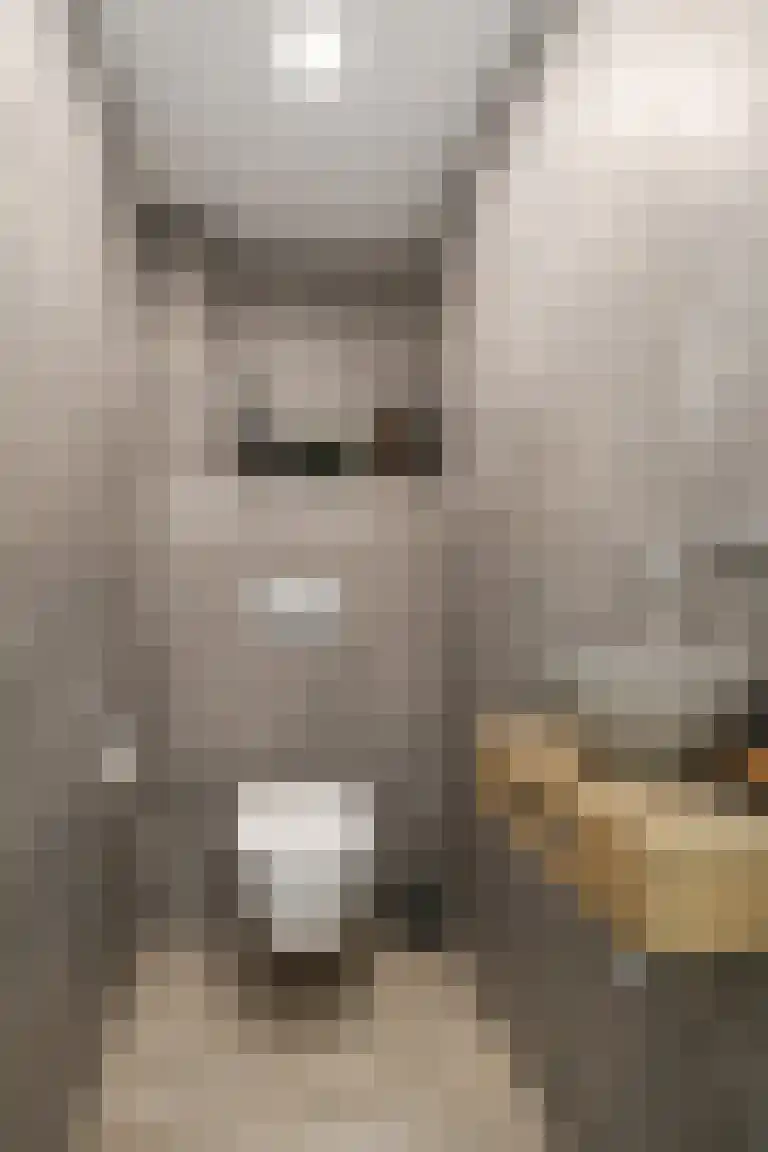 Graaf Philipsstraat 5 Horn thumbnail 15