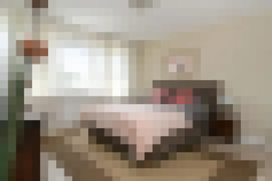 Graaf Philipsstraat 5 Horn thumbnail 16